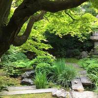 <再訪> 柊家旅館 特別室 宿泊記(ブログ), りょうりやステファンパンテル, 仙洞御所・京都御所