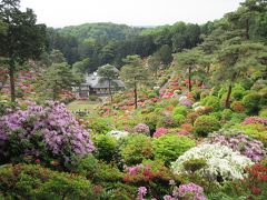 塩船観音寺のツツジ