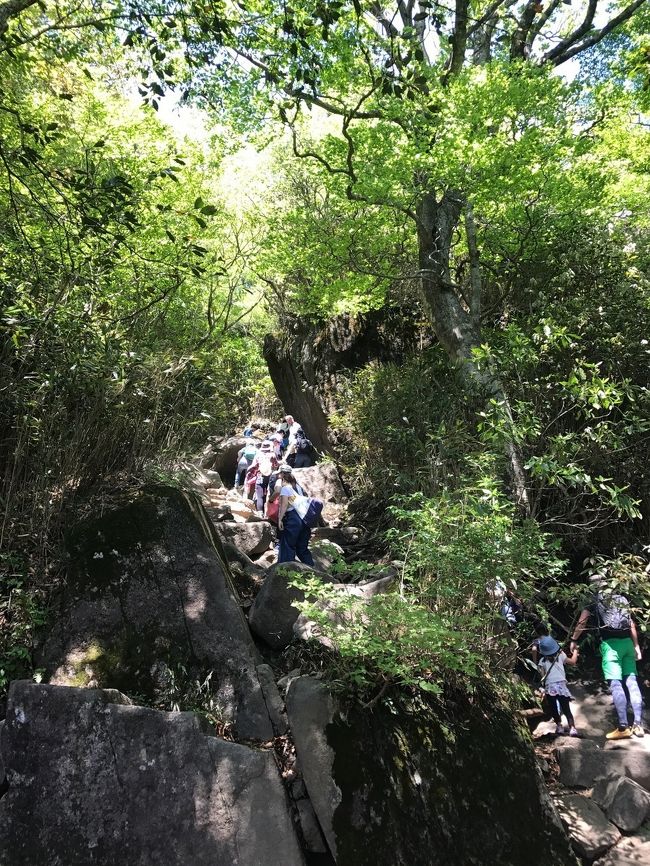 駐車場探しに悪戦苦闘、登山口に到着したのが1時間後<br />登り始めは良かったけど、白雲橋コースとおたつ石コースが合流した後から山頂までの道がずっと大渋滞<br />小さな子供ですら我慢して並んでいるのに、それを無視して横からスタスタ登って行く大人達の常識のなさに嫌気がさしたり、モラルの問題だから注意することもできなくて虚しくなるし、ケーブルカー乗り場前の広場にはゴミが散乱していて悲しくなるし、ゴールデンウィークに山登りに行くのはやめようと心底思いました<br />