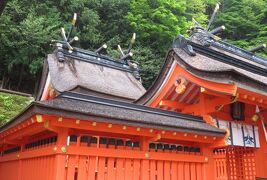 2018春、熊野の世界遺産(4/5)：実宝院跡、木斛の大樹、赤鳥居、那智山熊野権現扁額、狛犬