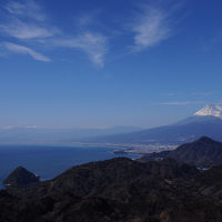 富士の絶景と修善寺梅園