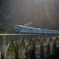 スリランカ・シンガポールのんびり旅行 (スリランカ9日目/エッラ Nine arch bridge）