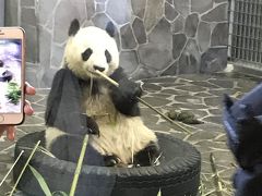 王子動物園