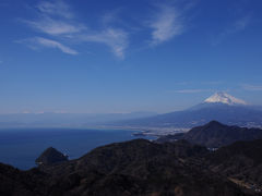 富士の絶景と修善寺梅園