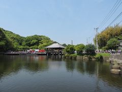 筑紫野歴史博物館」の見学と「武蔵寺」の藤鑑賞