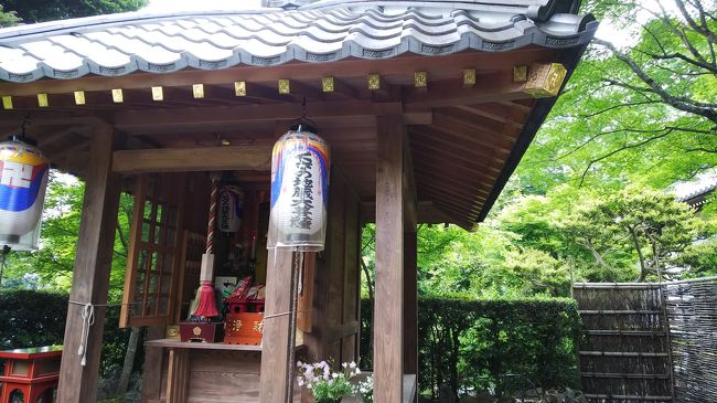 2日どこへ行こうかと、思っていたら普段閉まっている鹿ヶ谷住蓮山安楽寺が、くさの地蔵縁日で毎月2日は開いているようなので行ってみました。