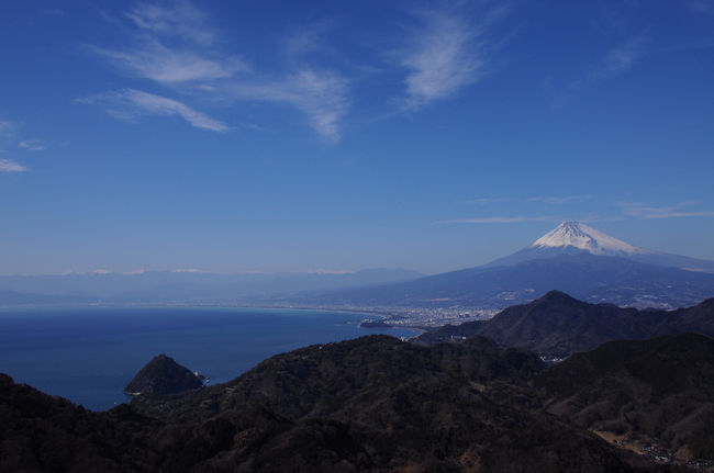 富士の絶景と修善寺梅園