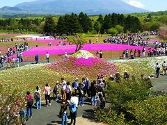 富士山とピンクの絨毯芝桜まつり