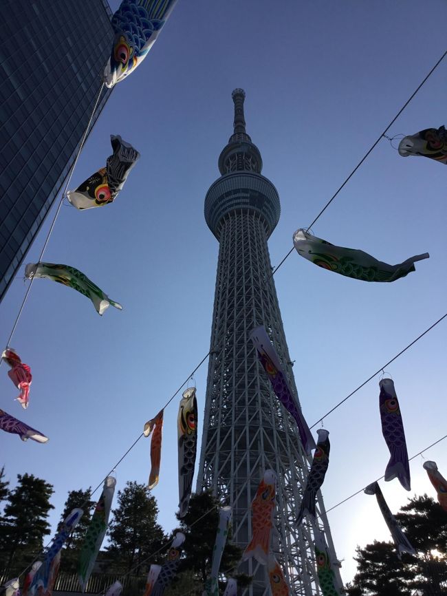 浅草橋のゲストハウスに泊まりました。<br />まるで、外国にいるかのような雰囲気。<br />荷を解いて、スカイツリーに行ってみます。<br />初スカイツリー。