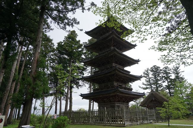 今回、佐渡に来た目的は、全国一宮巡りの佐渡国一宮「度津神社」参拝と日蓮宗本山めぐりです。<br />我が家の宗派が、日蓮宗であることもあり全国に57ある本山も廻っていたりしますが、いよいよ残すところ佐渡の３カ寺となっていました。日蓮上人は、文永8年（1271年）配流の身となり、文永11年（1274年）祓免になるまでの3年間を佐渡で過ごされており、佐渡には２カ所の霊跡寺院（大本山）と１カ所の由緒寺院（本山）があります。今回３本山を参拝し、無事、日蓮宗本山めぐり完結しました。<br /><br />GW佐渡の旅・初日は、この後佐渡金山【１】へ行き七浦海岸【3】へ続く