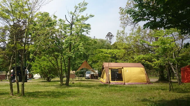 昨年夏以来の久しぶりのキャンプになりました。場所は恒例の休暇村越前三国オートキャンプ場にしました。予約するのに出遅れてしまいここしか空いていなかったと言う消極的な理由もあるのですが････。<br />今回のキャンプはキャンプ場を拠点にして観光などはしないでキャンプ場でのんびりと過ごしました。この季節は若干の寒さは感じますが気候的には一番安定していて寒くもなく暑くもなく変な虫もいませんので一番快適なキャンプが出来ます。そして結構あわただしい１年でしたのでリセットに丁度良かったです。