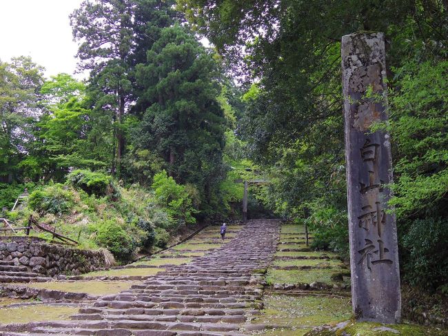 北陸旅行３日目。<br />ずっと行きたかった永平寺と平泉寺白山神社へ。<br />趣の異なる2寺社でしたが、どちらも清らかな空気が流れていました。