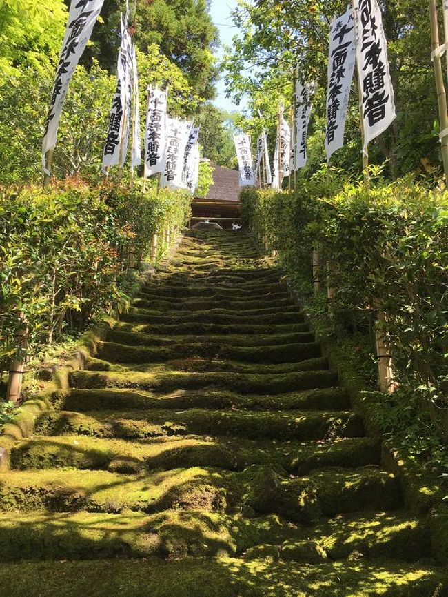 男一人で鎌倉に行ってきた 鎌倉 神奈川県 の旅行記 ブログ By Ariafloatさん フォートラベル 男一人で鎌倉に行ってきた 鎌倉 神奈川県 の旅行記 ブログ By Ariafloatさん フォートラベル