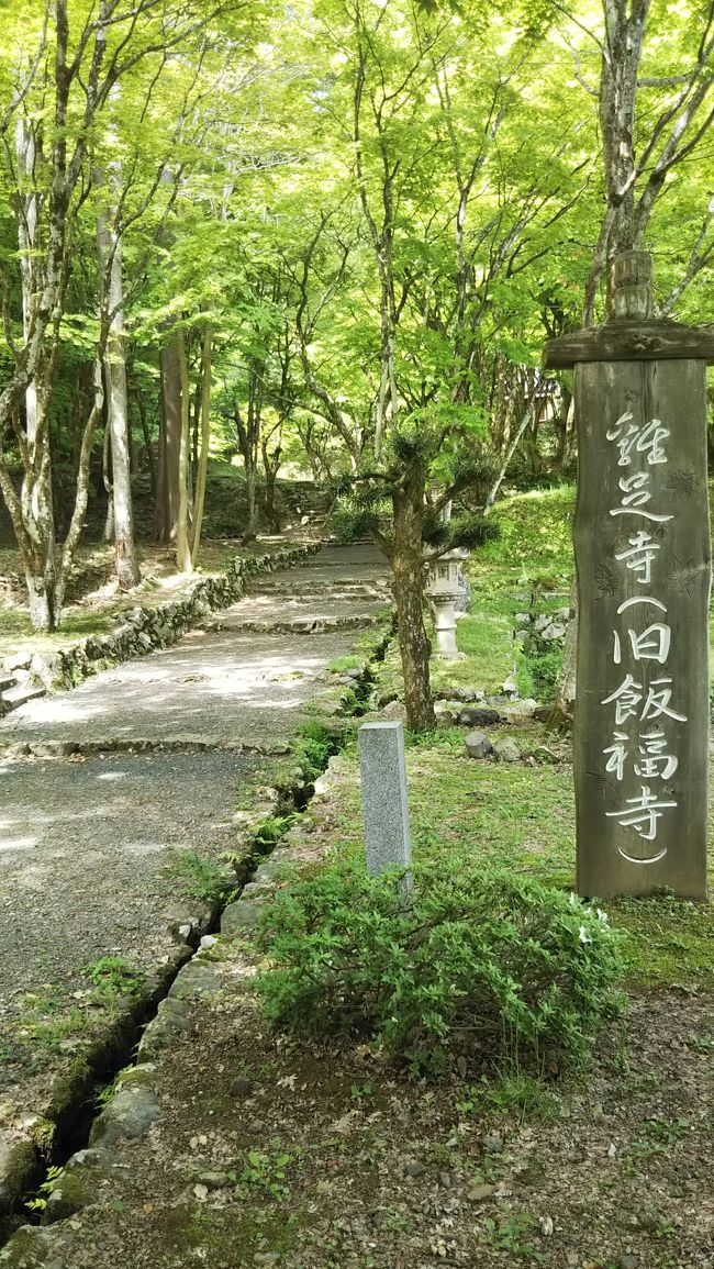 滋賀県長浜市には、観音の里と呼ばれるエリアがあります。高月駅や木ノ本駅のあたりです。<br /><br />このエリアには己高山という900mほどの山のあるのですが、かつてここには、鶏足寺という比叡山に並ぶ一大仏教寺院を始め多くの有力寺院があったそうです。ただ、戦国時代の動乱、北陸からの一向宗の流入、明治の廃仏毀釈、自然災害などの影響で己高山の寺院はほとんどが堂宇を失ってしまいました。<br /><br />ただ、そんな中でもこのエリアの人たちは各寺院にあった観音さまを土に埋めたり、川に沈めたりして隠し、機をみて集落内にお堂を建てて現在まで大切に守っています。<br /><br />そんなこのエリアの観音さまを始めとした仏像を見れるのが、己高山麓の己高閣・世代閣です。かつての鶏足寺の本尊など数十体の仏像があり圧巻です。同じく己高山の麓には石道寺があり、こちらでは重文の観音さまを観ることができます。<br /><br />また、高月駅近くの渡岸寺観音堂では、国宝の十一面観音像を観ることができます。この十一面観音像は奈良時代のものですが、立ち姿がヨーロッパの彫刻を思わせる傑作です。一説によると、インドからの渡来品ではないかとのことですが、いずれにせよ凄まじい技量で彫られた仏像だということです。<br /><br />他にも沢山の仏像がこのエリアではお祀りされているのですが、今も地域の人の手で大切にされており、拝観には事前予約が必要です。今回は事前予約なしで拝観できるところを周りましたが、あまりにも感銘を受けたので、今度は事前予約が必要なところも含めて周りたいなと思います。