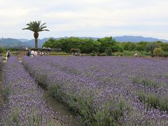 旅するイルカ♪　和泉リサイクル環境公園へ