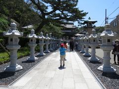 勝浦鴨川散策・・勝浦の朝市と鯛の浦、誕生寺を訪ねます。