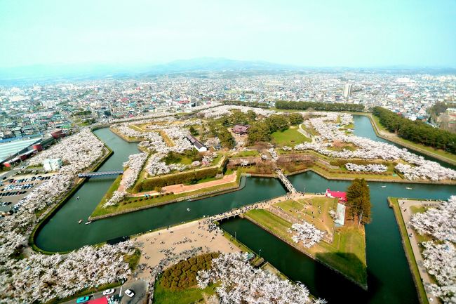 春の函館五稜郭の桜三昧