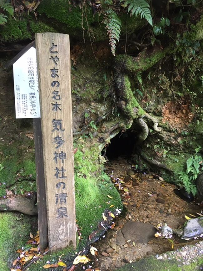 豊かな自然と美しい風景、美味しい山海の食べ物、大らかで飾らない人々の気質、伝統を守る祭りの数々などに惹かれ、富山にどっぷりはまっておりまして、今年もＧＷは富山観光、通算９回目でした。<br />ＡＮＡの「旅作」で、往復航空機、ホテルはＪＲ富山駅に程近い「富山地鉄ホテル」３泊・朝食付きで＠43,900円とお得なプランで出かけました。<br />今回のメインはやはり、５月５日の南砺市城端の曳山祭りですが、これまでに行ったことの無いスポットにも出掛けてみました。<br /><br />初日、７：５５羽田発ＡＮＡ３１３便で出発、富山空港からはレンタカーで観光スタートです。<br /><br />★(1)まずは伏木神社、気多神社、高瀬神社に参拝。<br />　(2)井波八幡宮と瑞泉寺、夜は銀八鮨！<br />　(3)射水市新湊～高岡市と観光しました。<br />　(4)城端曳山祭りの宵祭り！<br />　(5)新湊大橋と帆船海王丸の展帆！<br />　(6)今年の城端曳山祭りは提灯山を堪能！<br />　(7)ますのすし作り体験と常虹の滝、越中八尾の散策！