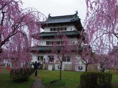 東北桜巡り1