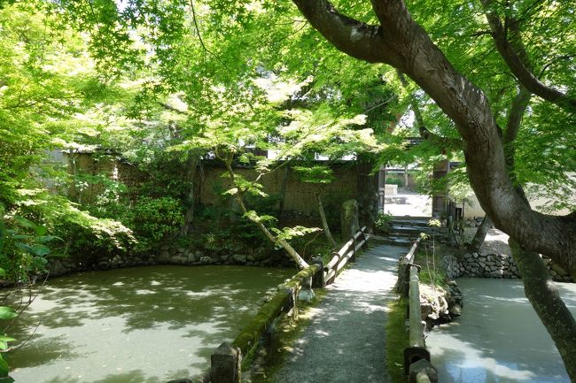 昨日は山の辺の道を歩き倒し、今日は帰る日。<br />奈良駅周辺でなるべく人混みをさけながら、最後の観光は割と王道。