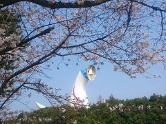 春の万博記念公園