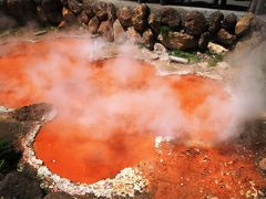 西鉄リゾートイン別府に宿泊して別府地獄めぐり