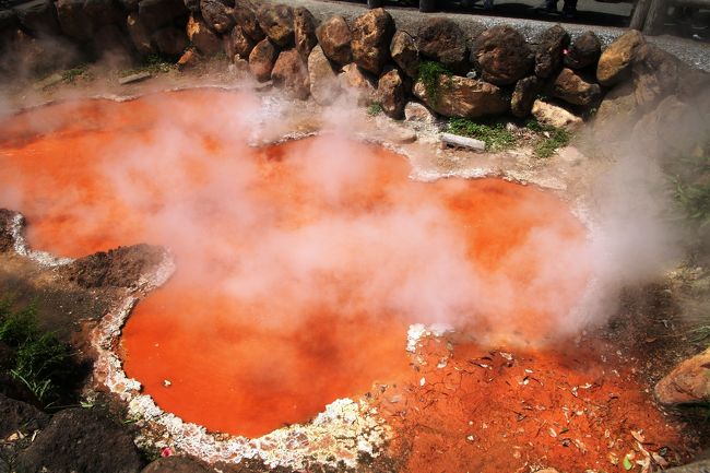 西鉄リゾートホテル別府に宿泊して別府地獄めぐり<br /><br />地獄めぐりに最適なホテルです。地獄めぐりは予定にはなかったのですが地獄めぐりの観光バスの出発場所のホテルであることを知り急遽地獄めぐりに参加することにしました。徒歩数分の場所に別府タワーがあります。200円の入場料で別府の街を眺望できるのでお勧めです。<br /><br />表紙の写真はかまど地獄6丁目の赤湯、煙草を吹き付けると白い煙が現れる実演の結果現れました。
