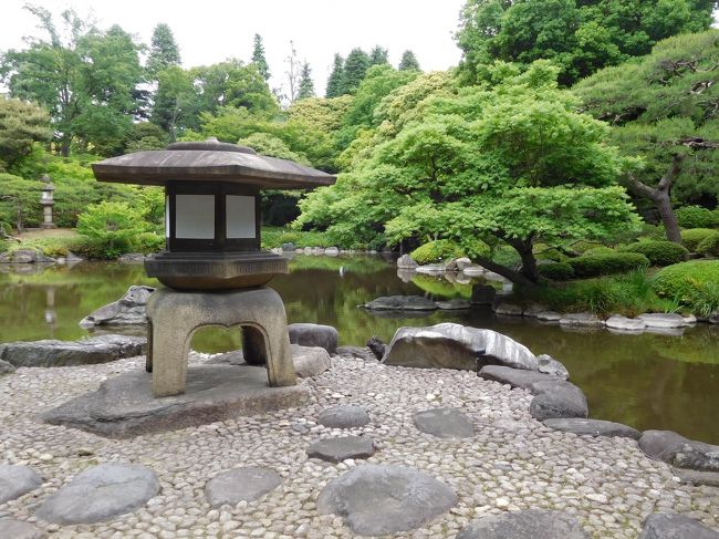 ２０１７年５月　東京４日目　その３　旧古河庭園の日本庭園散歩