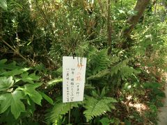 新緑が眩しかった2018京都7日間　5日目　 ～櫻谷文庫～高瀬川界隈～先斗町～みます屋～ももてる～