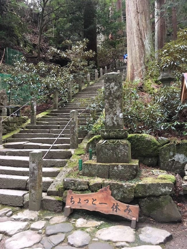 奥の院へ行く途中のベンチ