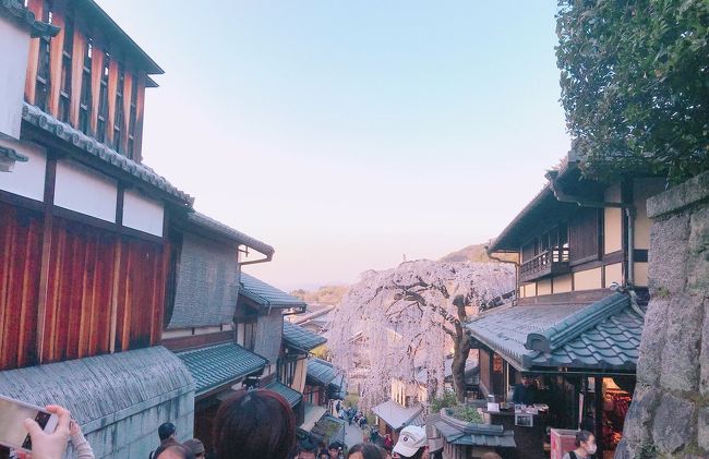 誕生日の日に、お互い仕事の休みをとりゆっくり女子旅をしました。桜を見たり、美味しい京都名物を食べたり…はんなりな1日でした！休日を女友達とゆっくり過ごして心も体もリフレッシュしました^^