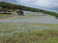 日立海浜公園と東国三社(鹿島神宮、息栖神社、香取神社)を見に行きたくて。