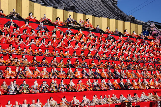 中伊豆の旅から帰って来た翌日、ひと月前に指定席を確保していた房総勝浦へ向かう臨時特急『かつうらひな祭り号』に乗り、雛飾りで彩られた街へ。<br />勝浦は、子供の頃に何度か訪れたことがあるが、海水浴が目的だったので、街歩きは初めてだ。<br />そんな街の外れでは、外房らしい海の絶景も観ることができた。