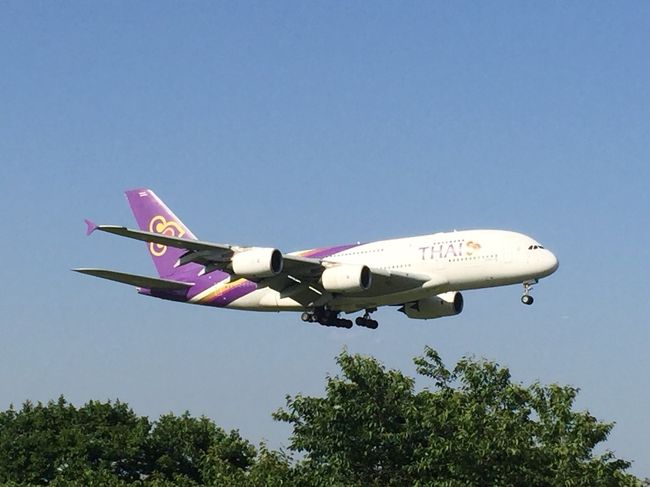 表紙は、タイ航空のエアバスA380。<br />成田空港で4,000mあるのは、A滑走路だけ。<br />あの大型2階建て旅客機エアバスA380が離発着するはA滑走路のみ。<br />『さくらの山公園』は、A滑走路の間近にあり、旅客機の離発着が見えて、大人も子供も楽しめる公園です。