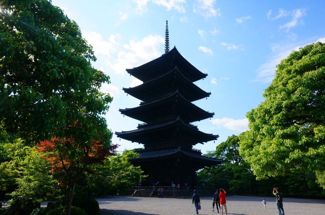 ＊京都旅行記①嵐山編の続きです(*^^*)<br />https://4travel.jp/travelogue/11356441<br /><br /><br />今回の京都旅行の私の希望は、<br />①鴨川の納涼床で鱧料理を堪能する事<br />②嵐山の竹林に行く事<br />③和スイーツを食べる事<br />④宇治の藤の花を見る事<br />⑤伏見稲荷に行く事<br /><br />です(*^^*)<br /><br /><br />.・*・.・*・.・*・.・*・.<br /><br />嵐山散策が終わったあとは、<br />京都駅に戻り一度ホテルへ♪<br /><br />それから晩御飯をどうするかみんなで会議★<br />結局徒歩で行ける近くの京都料理が食べられる居酒屋へ。<br /><br />その後は夜の京都タワーへ行って綺麗な夜景を見てきました＾＾<br /><br /><br />そして2日目！<br />この日の朝はまずタクシーで東寺→三十三間堂に行きました★<br /><br />午後から歩くことを見越して午前中は足を使わないようにしましたがこれは正解でした！<br /><br />タクシー快適過ぎます(⌒▽⌒)<br /><br />大仏見たさで行ってきたけど、すごい！！と思うものは全部写真NG。<br /><br />あーあの素晴らしさをカメラに残したかったなぁ。<br /><br />では旅行記②スタート↓