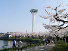 2018.4函館に桜を見に行く3-桜が満開の五稜郭　箱館奉行所