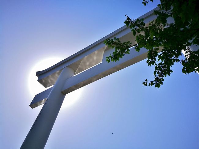 予算も時間も無い!けれどもたまには旅に出たい。<br />いつもどおり思いつきとひらめきに依って動いてしまう私が目指した先は出雲大社と松江城。<br />だらだらとした文章と拙い写真をたくさん貼るだけの旅行記ですが、よろしければお付き合いくださいね。<br /><br /><お金を掛けずにふらりと旅へ。ひとりだからこその超節約しみったれな旅の記録です>