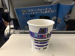 スターウォーズジェットで最後のジャカルタ☆またまたインドネシア料理に舌鼓♪　ジャカルタ・シンガポール2018の旅1