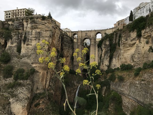 バス 電車でめぐる陽光のアンダルシア その１ マラガ ロンダ アンダルシア地方 スペイン の旅行記 ブログ By 文ぴーさん フォートラベル