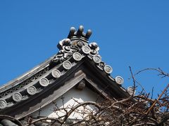 大泉寺　徳川家康公母　お於の方安産の祈願。薬師如来を本尊として創建した寺。 