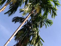 初めてのプーケット、夫婦でほぼ引き籠もり