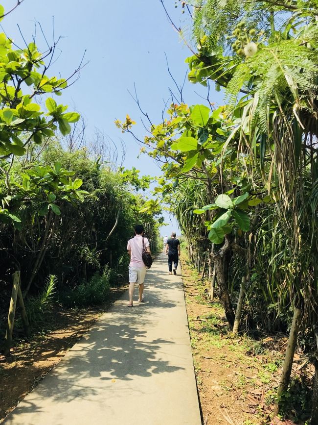 今年も父、夫、私の3人で沖縄旅行です。初めての宮古島なので、ビーチでのんびりではなく、レンタカーでいろいろ観光してきました！