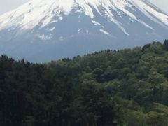 ザ、アメリカ人は、やはり、富士山がお好き。YOUは   どこ行く日本で？第1弾