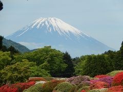 今年も箱根観光の旅を行う①新宿～箱根湯本～強羅