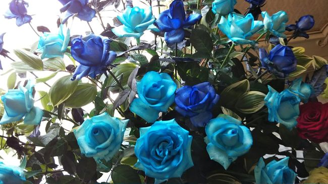 第64回 萬翠荘バラ展<br />5月8日~13日まで 松山の萬翠荘にてバラ展がありましたので<br />投稿します。<br />松山にきて萬翠荘にいったことがなく、今年はバラ展に出向きました<br />今年のテーマは「高貴なバラたち」<br />朝からたくさんの人たちが見学におとづれていました。<br />入場料は200円で当日バラを購入して買える人たちも多くみられました。