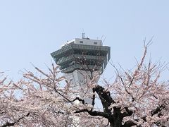 2018 桜旅 4日目 函館 五稜郭  五稜郭タワー  最後の最後に・・・・