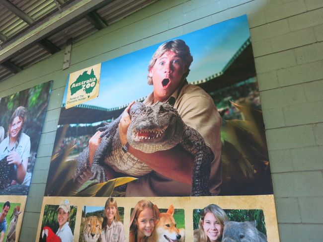 最終日はブリスベンにあるオーストラリア動物園に行ってきました。<br />ハリウッド進出も果たしたクロコダイルハンターのスティーブ・アーウィンが経営していた動物園。<br />ニュージーランド留学時代は彼のテレビ番組もよく見ていたので馴染みのある動物園です。<br /><br />帰りはブリスベンからシンガポール経由で日本へ帰りました。<br />シンガポール空港は大きいので乗り継ぎには退屈しない空港です。<br /><br />- 旅程 -<br /><br />現地集合だったので全て個別手配です。<br />利用させて頂いた旅行会社さんはそれぞれの旅行記ご紹介させてもらいます。<br /><br />Day  1 3/20 (日) 関空 → (JAL) → 成田 → (JAL)<br />Day  2 3/21 (月) → シドニー → (QF) → ブリスベン → (バス) → ゴールドコースト<br />Day  3 3/22 (火) ドリームワールド<br />Day  4 3/23 (水) ムービーワールド<br />Day  5 3/24 (木) スカイダイビング &amp; ゴールドコースト観光<br />Day  6 3/25 (金) ゴールドコースト → (バス) → ブリスベン<br />Day  7 3/26 (土) フレーザー島<br />Day  8 3/27 (日) フレーザー島<br />Day  9 3/28 (月) オーストラリア動物園<br />Day 10 3/29 (火) ブリスベン → (JAL) → シンガポール → (JAL)<br />Day 11 3/30 (水) → 羽田 → (JAL) → 関空<br /><br />- 旅行記 -<br /><br />1-2日目：シドニーで寄り道<br />https://4travel.jp/travelogue/11221415<br /><br />3日目：ドリームワールドで絶叫<br />https://4travel.jp/travelogue/11222617<br /><br />4日目：ムービーワールドでキャラクター三昧<br />https://4travel.jp/travelogue/11222649<br /><br />5日目 vol.1：ドキドキのスカイダイビング<br />https://4travel.jp/travelogue/11222723<br /><br />5日目 vol.２：ゴールドコーストをブラブラ<br />https://4travel.jp/travelogue/11289358<br /><br />6日目：懐かしの雰囲気いっぱいの街<br />https://4travel.jp/travelogue/11306204<br /><br />7-8日目：１泊２日で自然がいっぱいのフレーザー島へ<br />https://4travel.jp/travelogue/11358077<br /><br />9-10日目：クロコダイルハンターの後は帰国の途へ<br />https://4travel.jp/travelogue/11358347