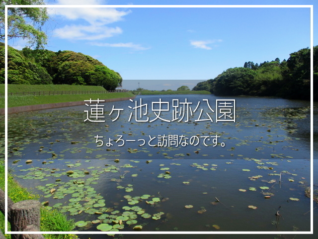 宮崎市のはずれにある古墳跡を整備した史跡公園。<br /><br />お天気もよかったので、お散歩気分で訪問です。<br /><br />▽使用機材：CANON IXY 150