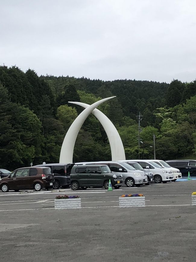 18 薫風 アニバーサリー旅 アフリカンサファリ 杉乃井ホテルに泊まる 2日目 大分県の旅行記 ブログ By ロビンさん フォートラベル