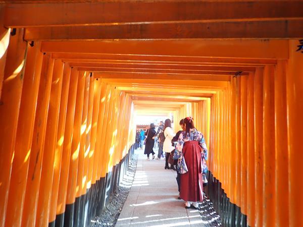 旅の２日目は「京の冬の旅」特別公開の寺社を中心にめぐる京都定期観光バス冬の特別コース「京の鳴き龍と庭園の美をたずねて」で一日楽しみます。伏見稲荷大社の御茶屋、泉湧寺の舎利殿鳴き龍、平安神宮の尚美館、相国寺法堂の鳴き龍などを中心に見て回ります。手をけ弁当で有名な京料理の六盛のおいしい昼食もついた充実のコースでした。<br /><br />はじめに伏見稲荷大社に向かい、特別公開中の御茶屋で棟方志功の襖絵や初公開の七大星韻図の一部、そして松の下屋の美しい庭園を眺めます。<br />行き帰りにはおけいはん（京阪電車）の踏切でミニミニ鉄ちゃんごっこ？も。